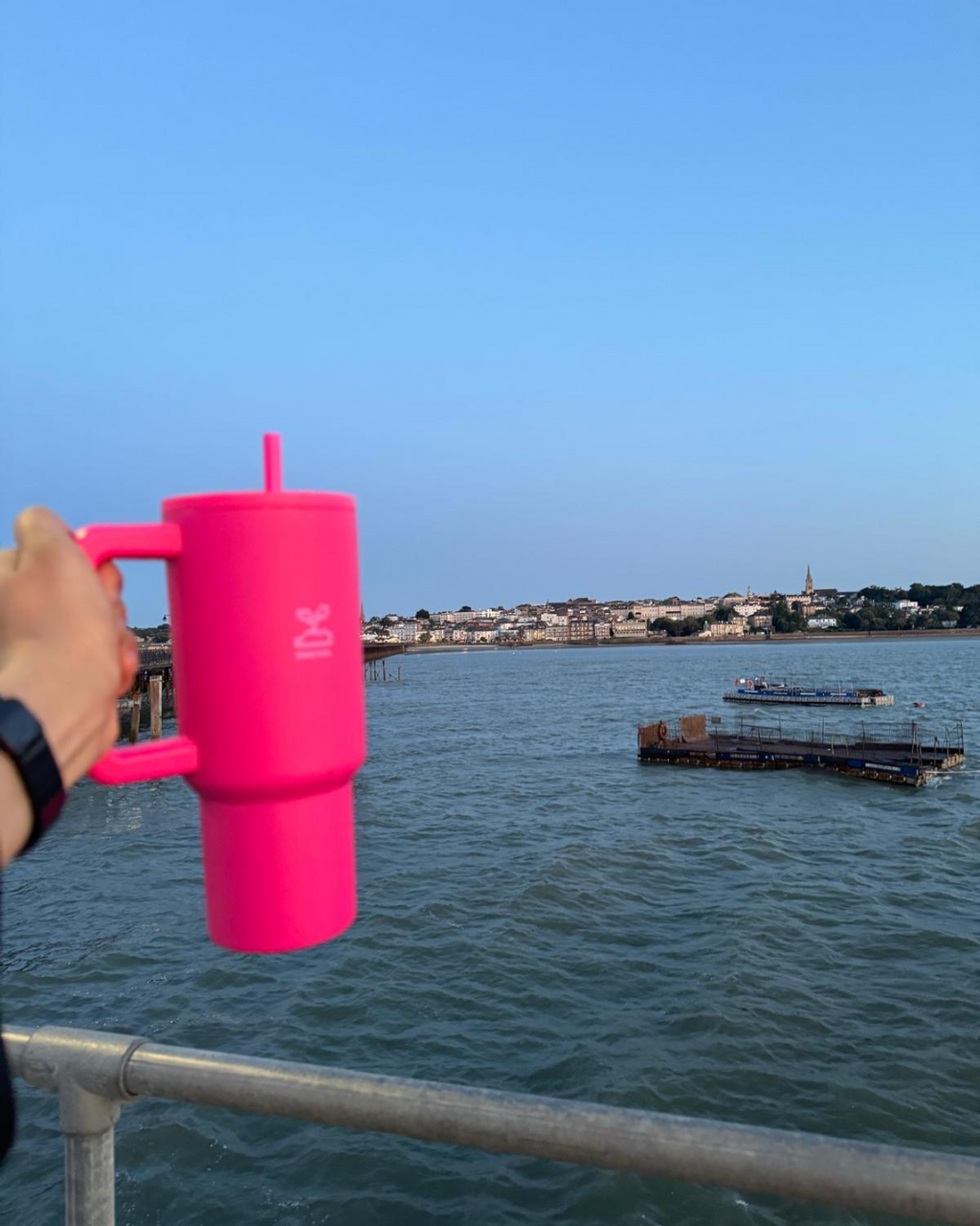 Person holding a pink cup with a straw over a body of water with boats and buildings in the background. stainless steel tumbler 900mL rani pink