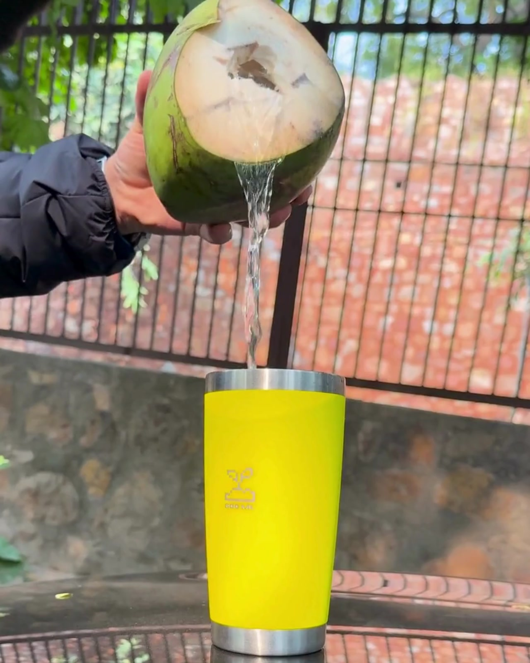 Person pouring coconut water into a yellow stainless steel tumbler 600mL lemonade  insulated stainless steel travel coffee mug 600mL 